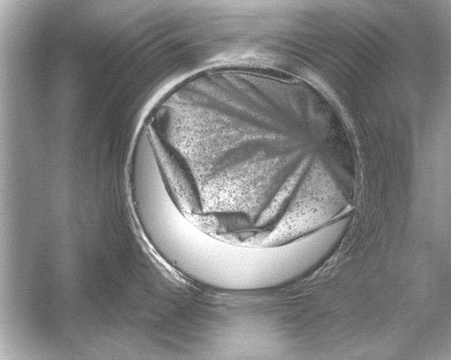 X0000051891344200507222006