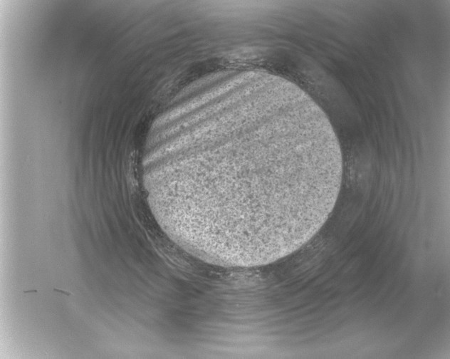 X0000051891346200507222005