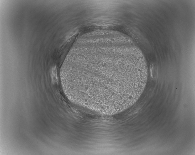 X0000051891347200507222005