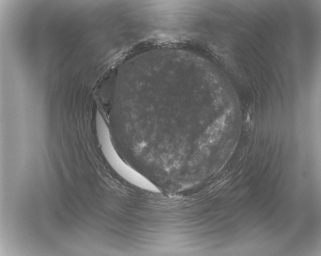 X0000051891348200507222005