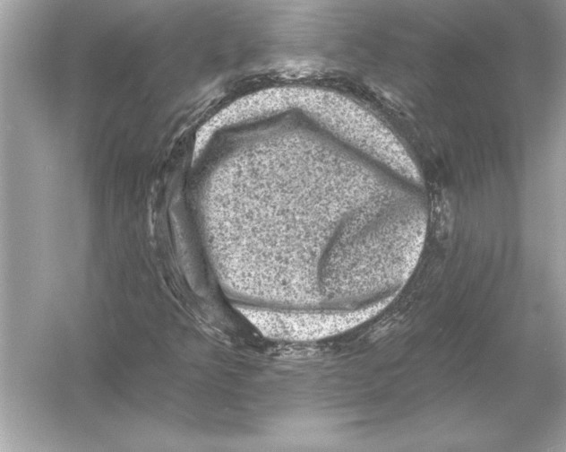 X0000051891349200507222005