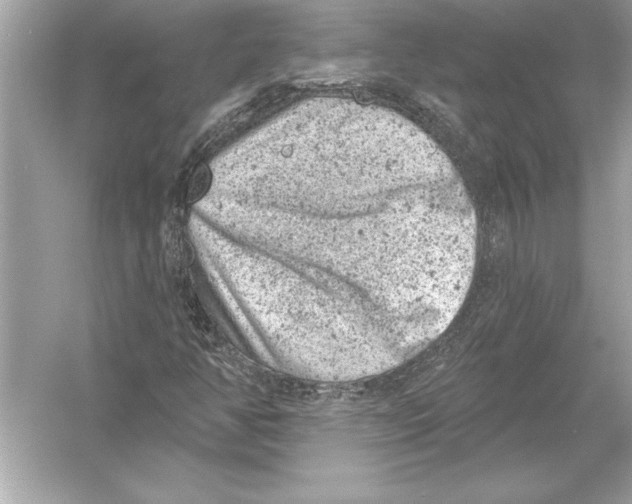 X0000051891350200507222005