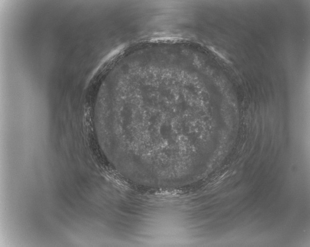 X0000051891351200507222005