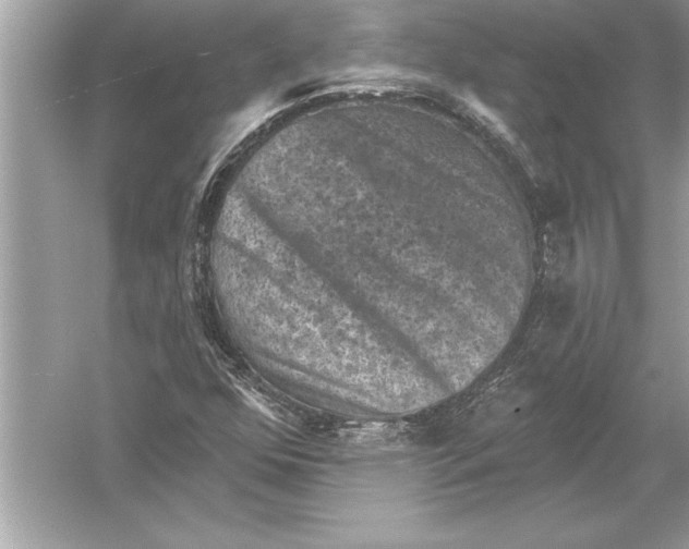 X0000051891352200507222005