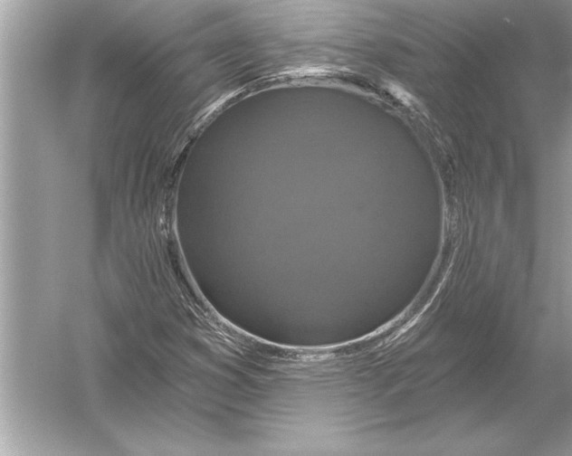 X0000051891353200507222005