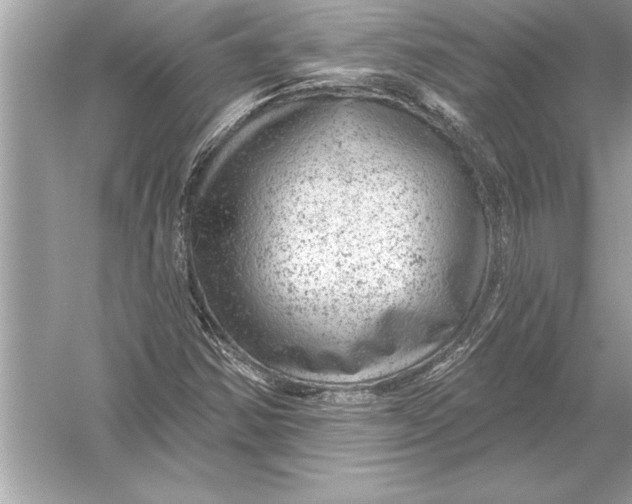 X0000051891354200507222005