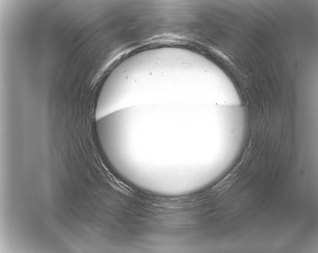 X0000051891355200507222005