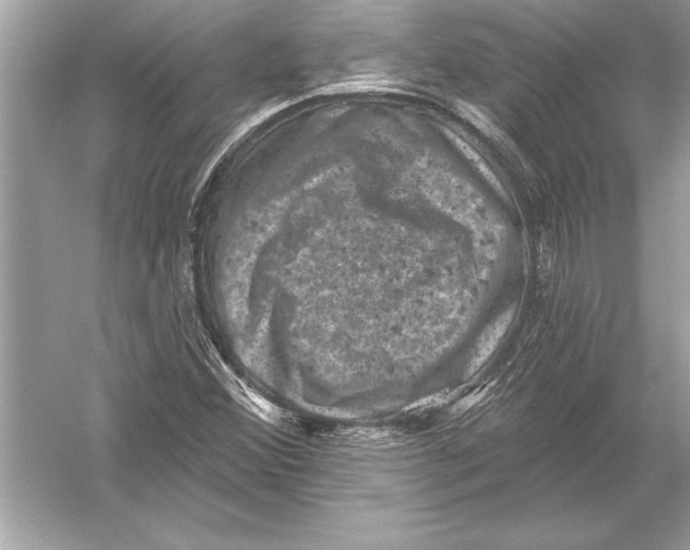 X0000051891356200507222005