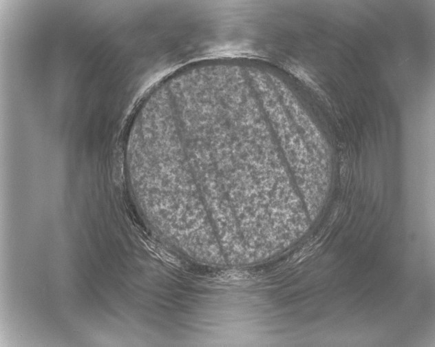 X0000051891358200507222005