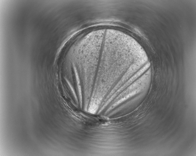 X0000051891360200507222005