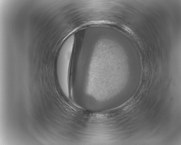 X0000051891361200507222005