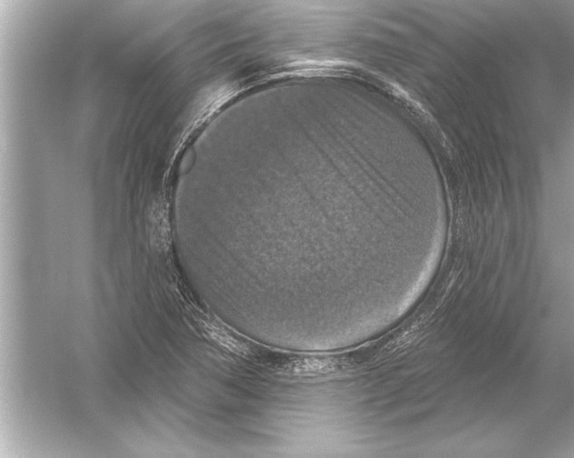 X0000051891362200507222005