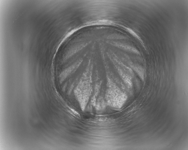 X0000051891364200507222005