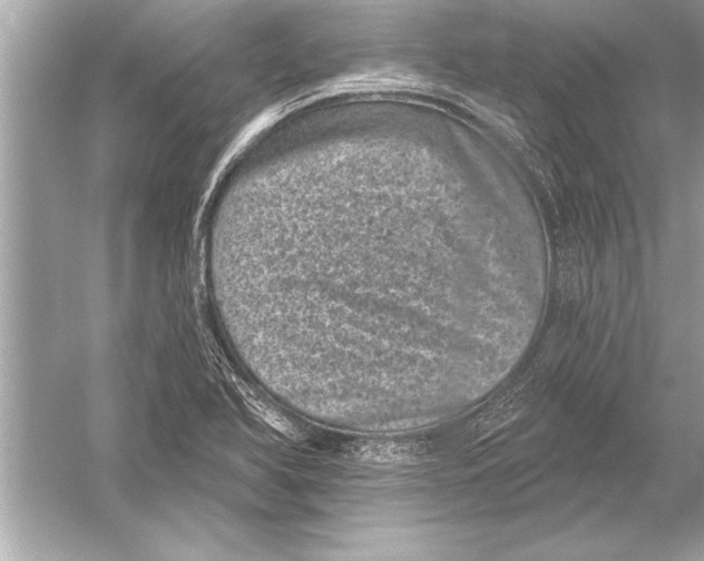 X0000051891366200507222005