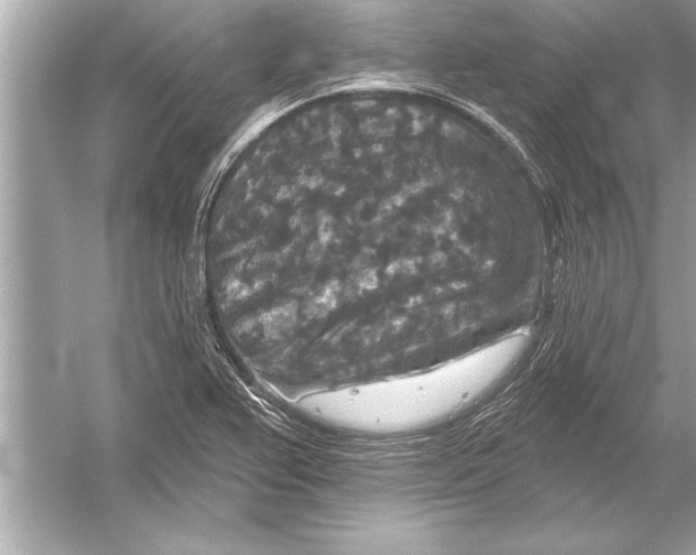 X0000051891367200507222005