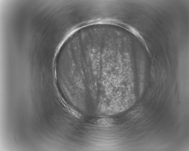 X0000051891368200507222005