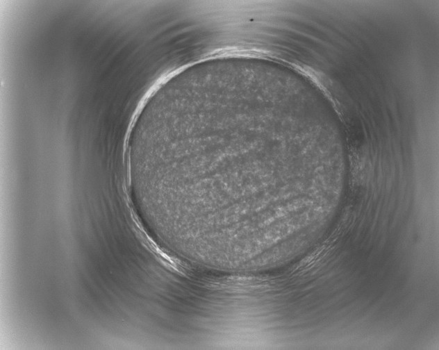 X0000051891371200507222004