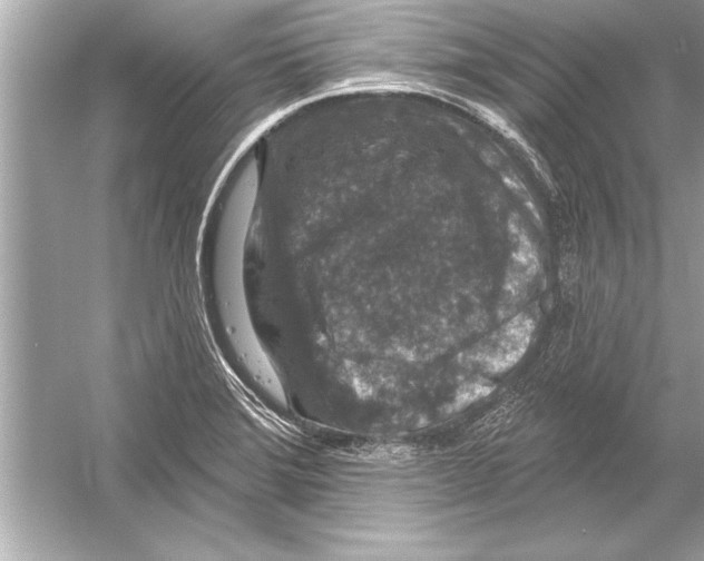 X0000051891372200507222004