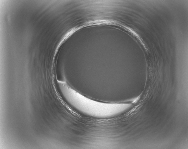 X0000051891373200507222004