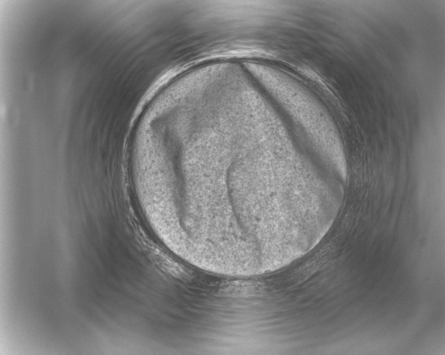 X0000051891374200507222004