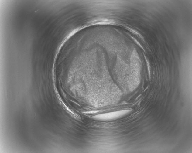 X0000051891375200507222004