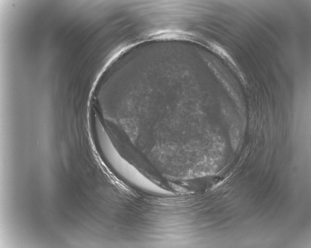 X0000051891376200507222004