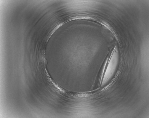 X0000051891377200507222004