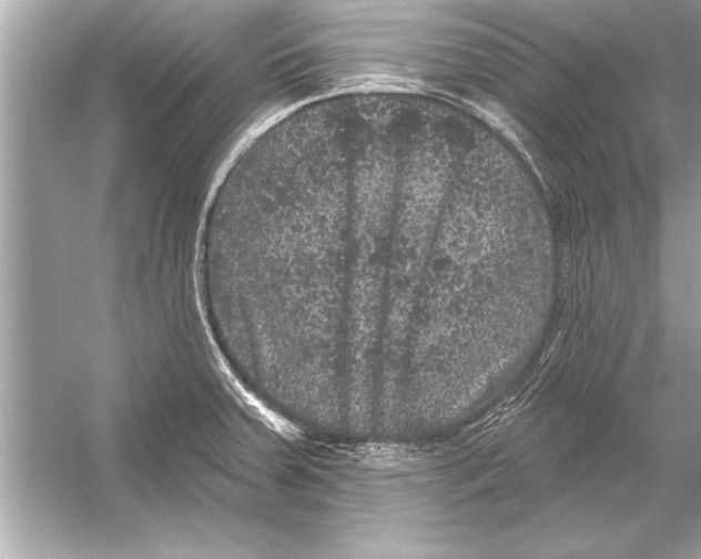 X0000051891379200507222004