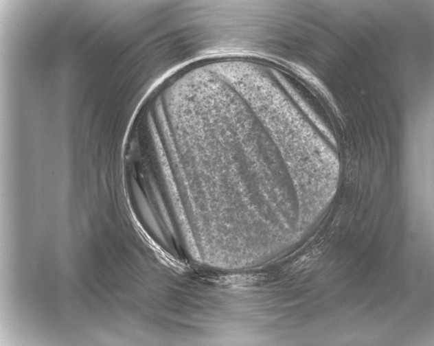 X0000051891380200507222004