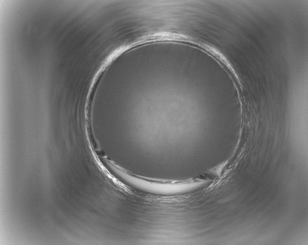 X0000051891381200507222004