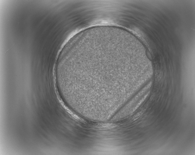 X0000051891382200507222004