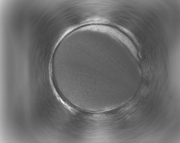 X0000051891383200507222004