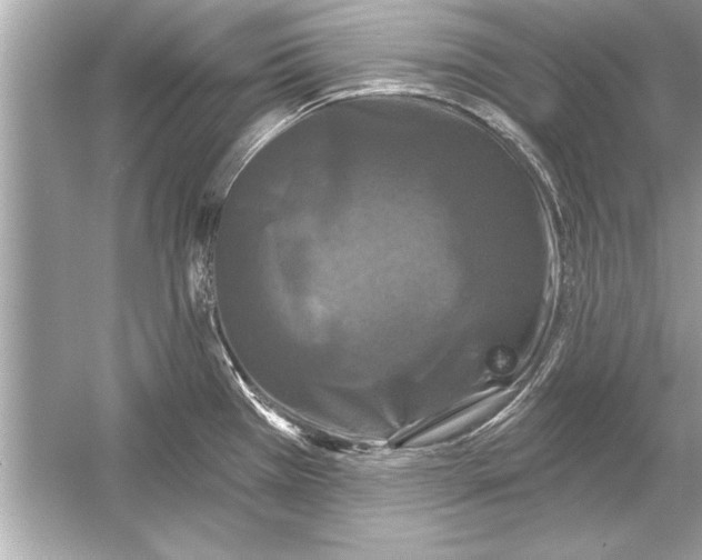 X0000051891385200507222004