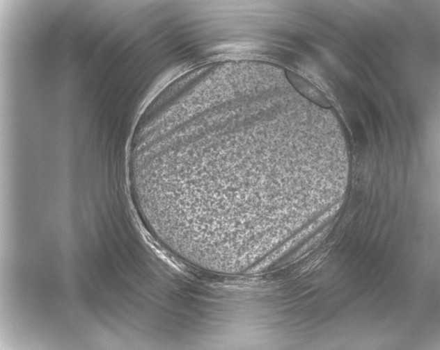 X0000051891386200507222004