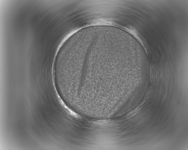 X0000051891387200507222004