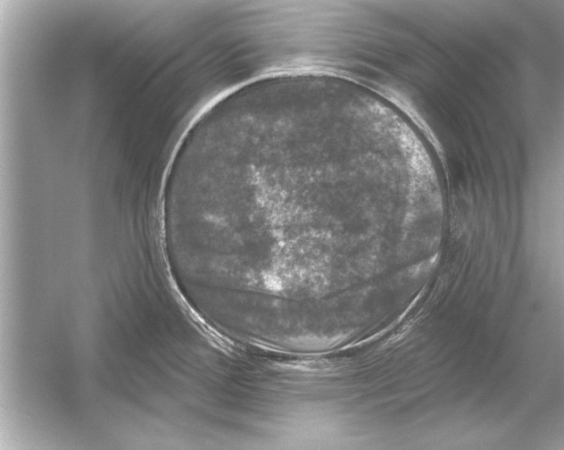 X0000051891388200507222004