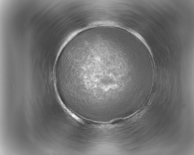 X0000051891389200507222004