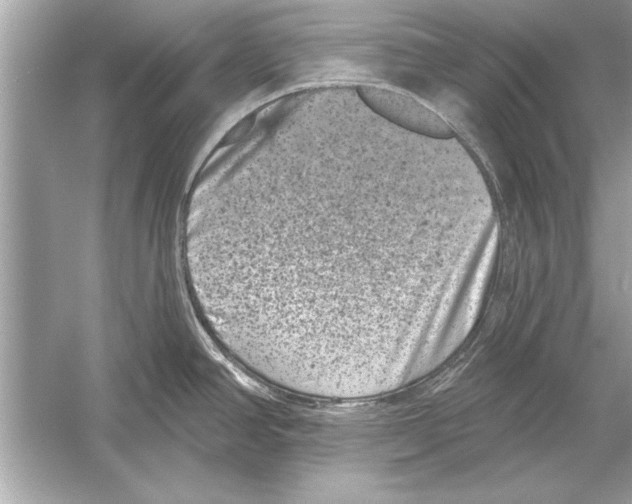 X0000051891390200507222004