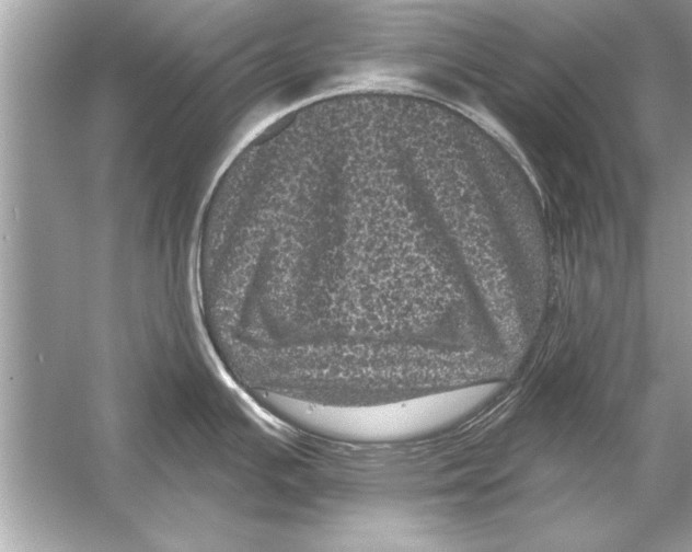 X0000051891391200507222004