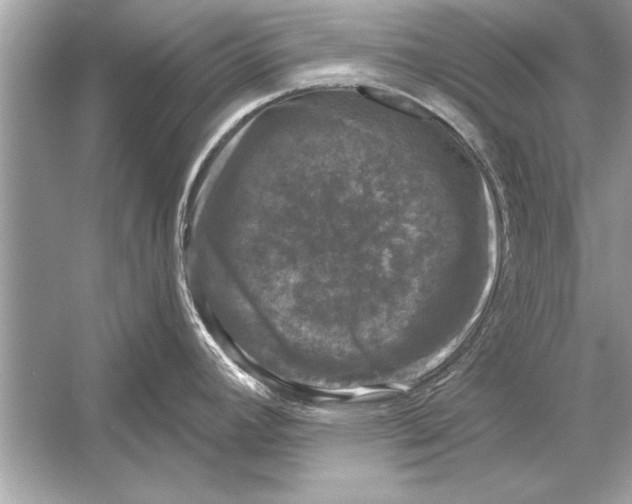 X0000051891392200507222004