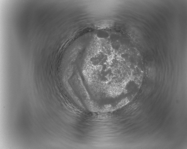 X0000051891393200507222003