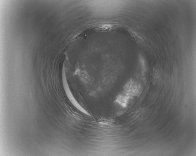 X0000051891394200507222003