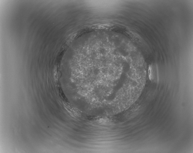 X0000051891395200507222003