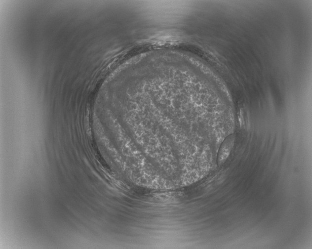 X0000051891396200507222003