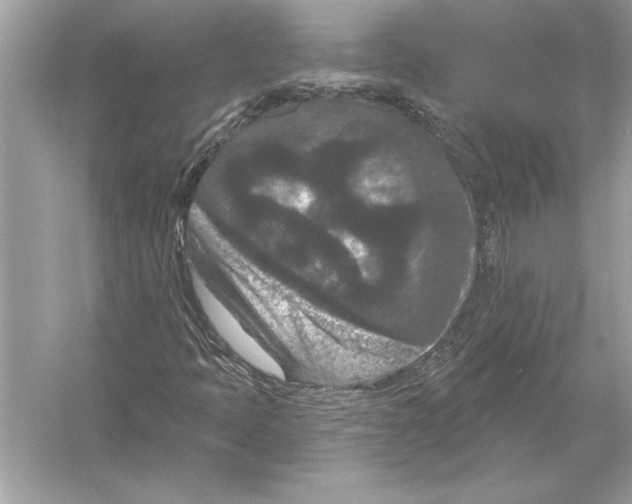 X0000051891397200507222003