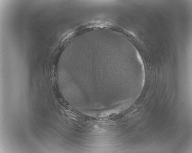 X0000051891399200507222003