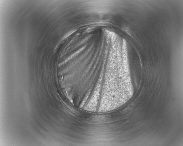 X0000051891402200507222003