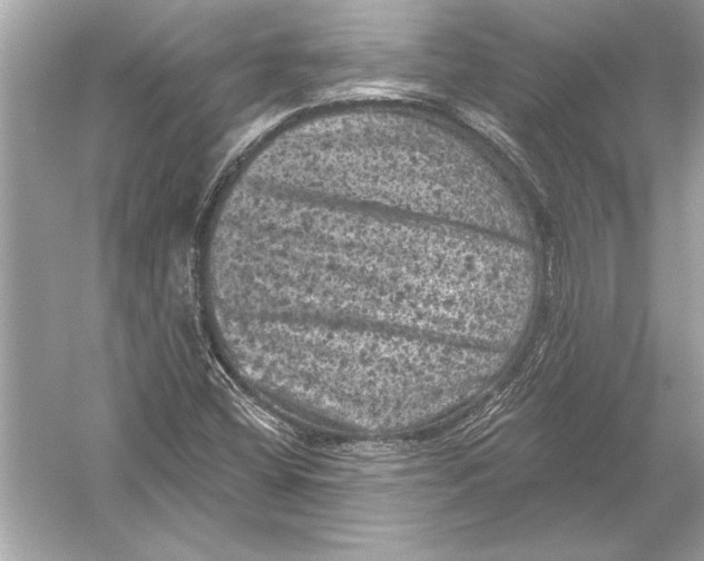 X0000051891404200507222003