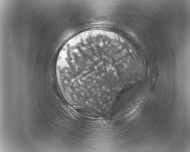 X0000051891405200507222003