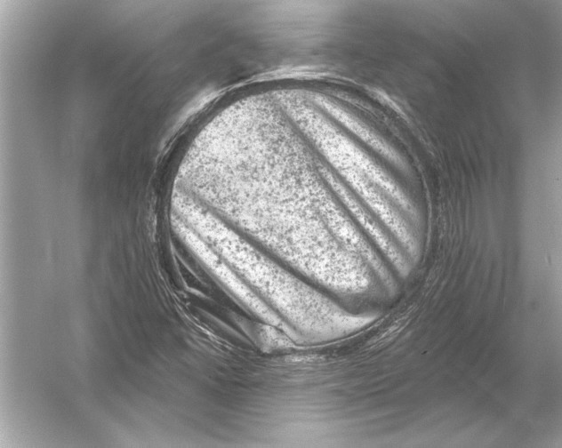 X0000051891406200507222004